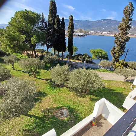 Skiathos Lagoterra Apartments Εξωτερικό φωτογραφία