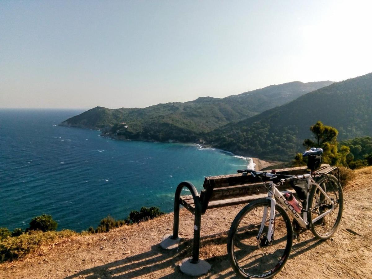 Skiathos Lagoterra Apartments Εξωτερικό φωτογραφία