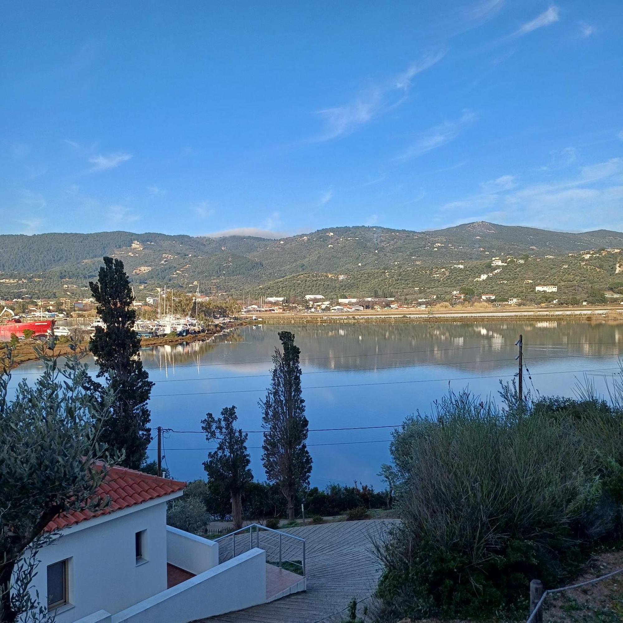 Skiathos Lagoterra Apartments Εξωτερικό φωτογραφία